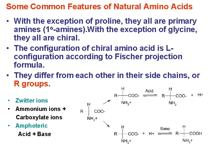 Some Common Features of Natural Amino Acids • With the exception of proline, they