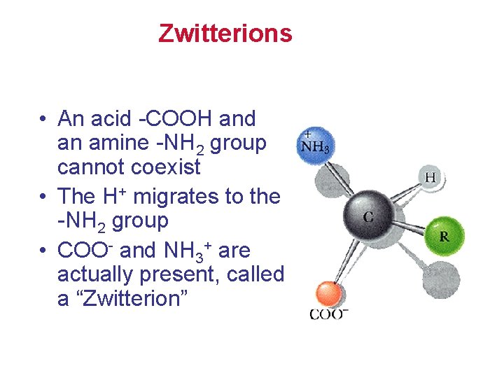 Zwitterions • An acid -COOH and an amine -NH 2 group cannot coexist •
