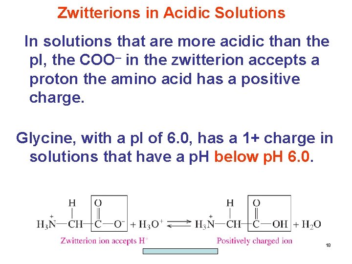 Zwitterions in Acidic Solutions In solutions that are more acidic than the p. I,
