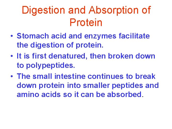 Digestion and Absorption of Protein • Stomach acid and enzymes facilitate the digestion of