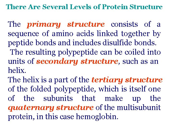 There Are Several Levels of Protein Structure The primary structure consists of a sequence