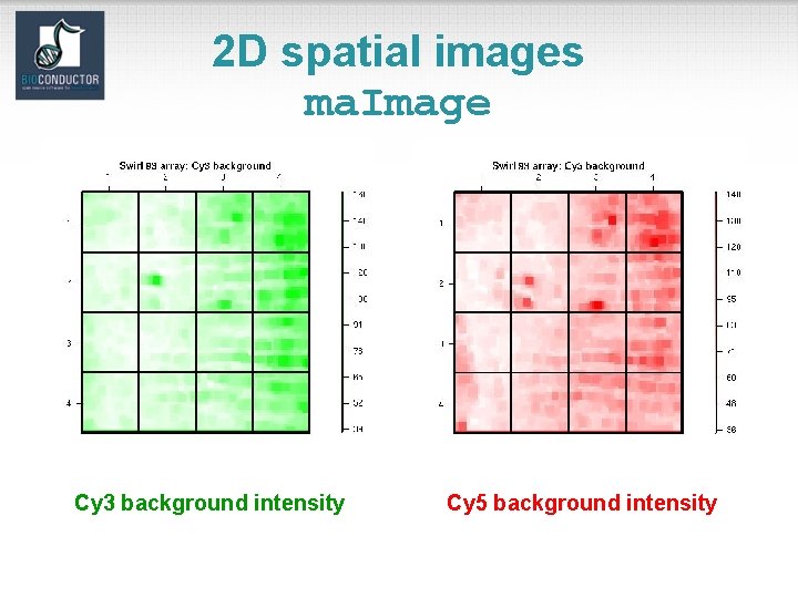 2 D spatial images ma. Image Cy 3 background intensity Cy 5 background intensity