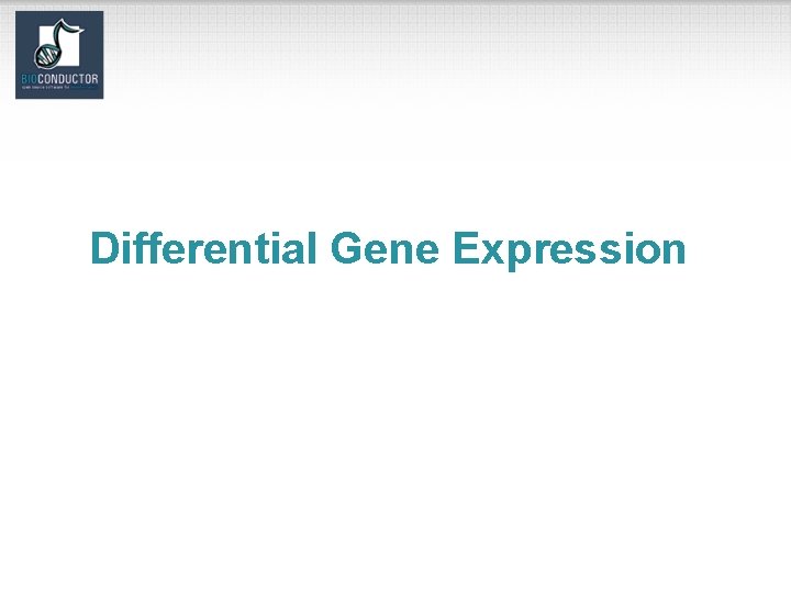 Differential Gene Expression 