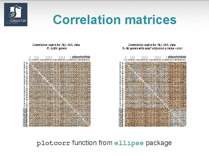 Correlation matrices plotcorr function from ellipse package 