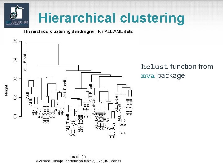 Hierarchical clustering hclust function from mva package 