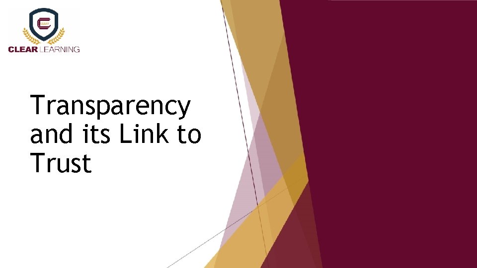 Transparency and its Link to Trust 