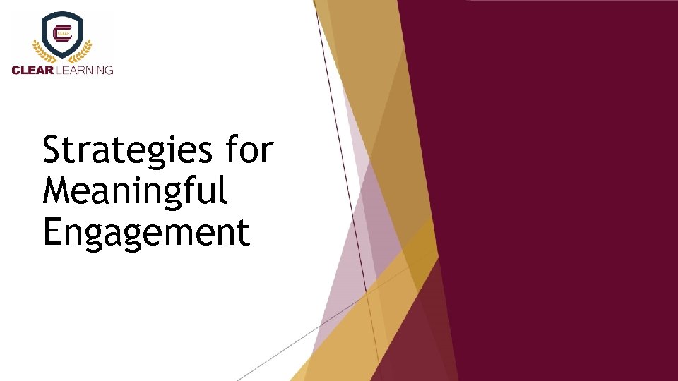 Strategies for Meaningful Engagement 