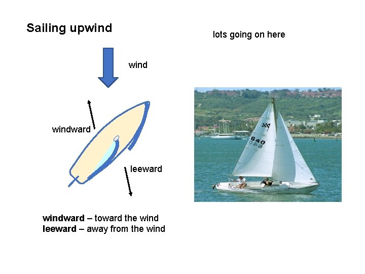 Sailing upwind lots going on here windward leeward windward – toward the wind leeward