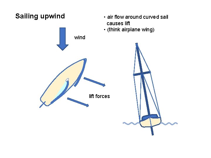Sailing upwind • air flow around curved sail causes lift • (think airplane wing)