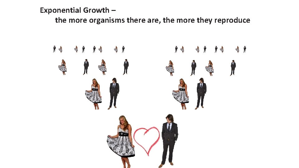 Exponential Growth – the more organisms there are, the more they reproduce 