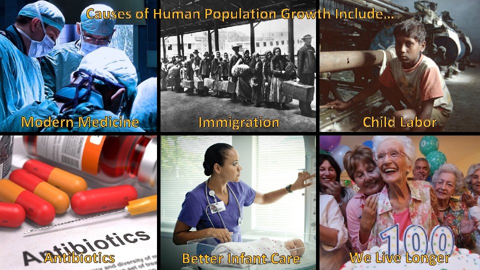 Causes of Human Population Growth Include… Modern Medicine Immigration Child Labor Antibiotics Better Infant