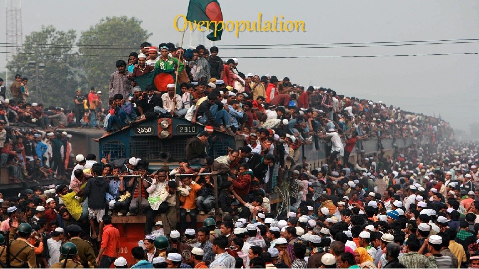 Overpopulation 