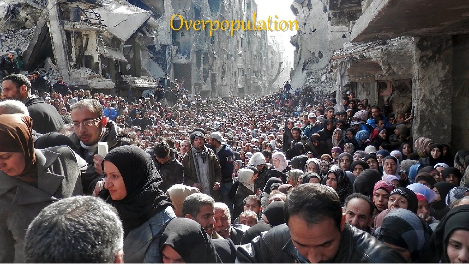 Overpopulation 