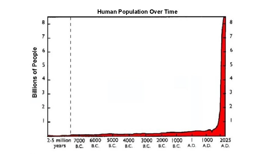 Human Population Over Time 