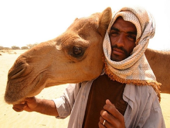 “Dios es grande, pero ata fuerte tu camello. " 