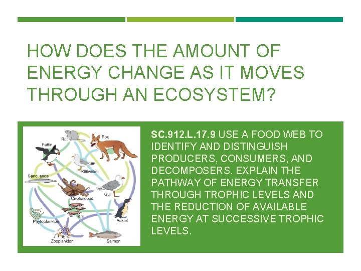 HOW DOES THE AMOUNT OF ENERGY CHANGE AS IT MOVES THROUGH AN ECOSYSTEM? SC.