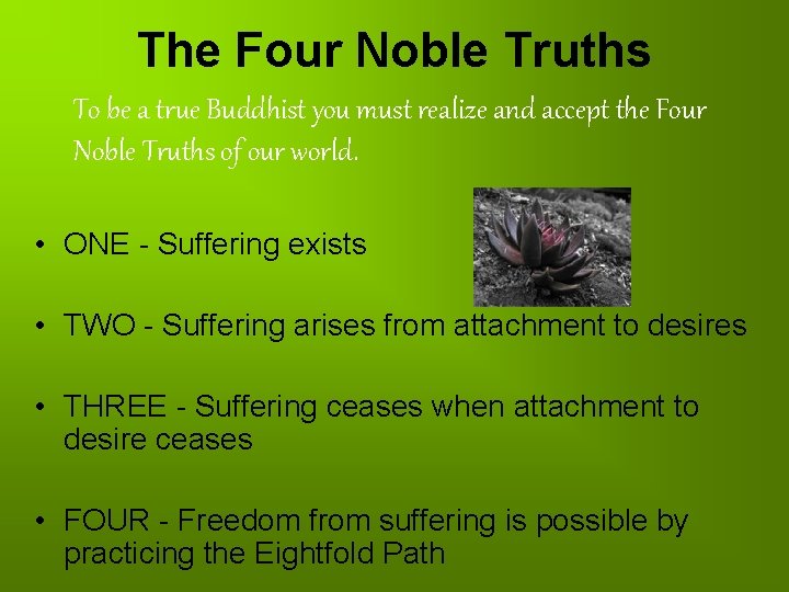 The Four Noble Truths To be a true Buddhist you must realize and accept