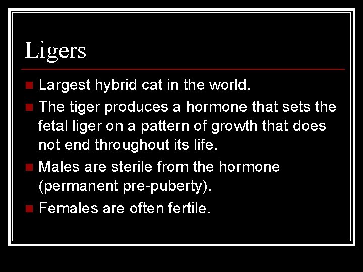 Ligers Largest hybrid cat in the world. n The tiger produces a hormone that