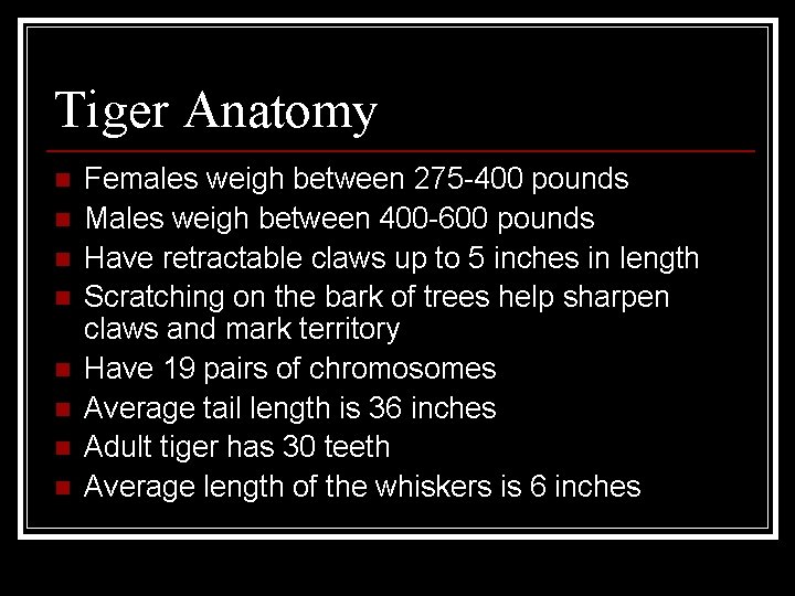 Tiger Anatomy n n n n Females weigh between 275 -400 pounds Males weigh