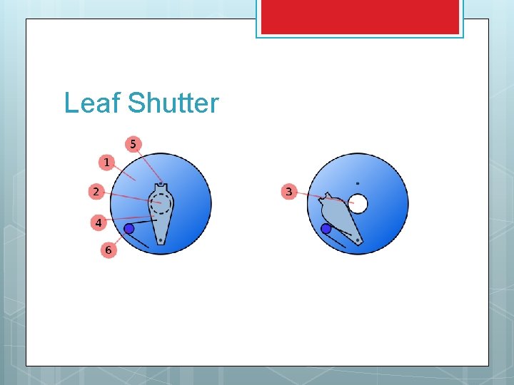 Leaf Shutter 