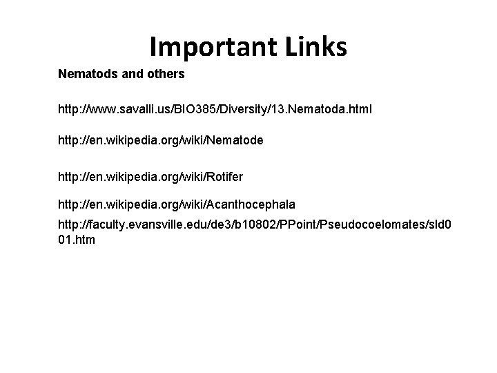 Important Links Nematods and others http: //www. savalli. us/BIO 385/Diversity/13. Nematoda. html http: //en.