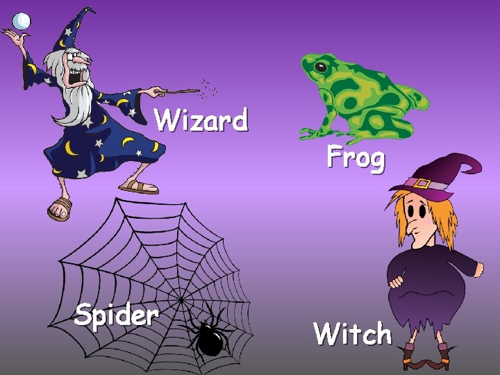 Wizard Spider Frog Witch 