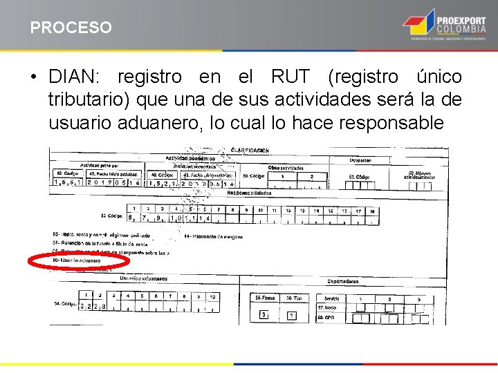 PROCESO • DIAN: registro en el RUT (registro único tributario) que una de sus