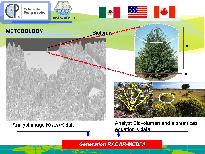 HIDROCIENCIAS METODOLOGY Bioforms h Área Analyst image RADAR data Analyst Biovolumen and alométricas equation´s