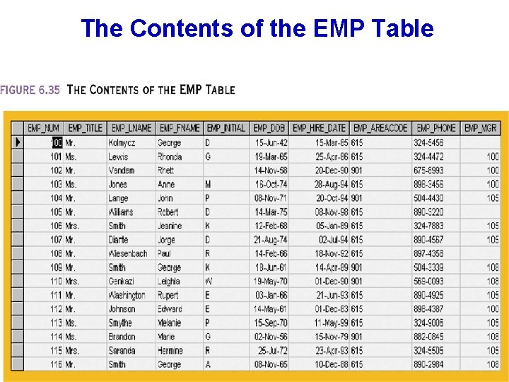 The Contents of the EMP Table 