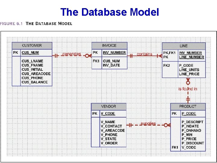 The Database Model 
