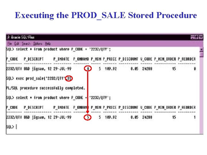 Executing the PROD_SALE Stored Procedure 