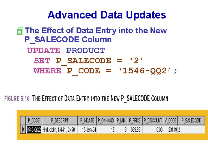 Advanced Data Updates 4 The Effect of Data Entry into the New P_SALECODE Column