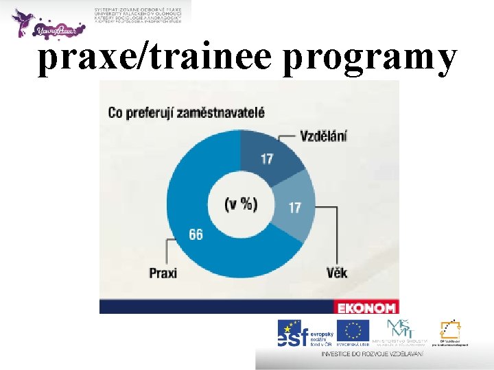 praxe/trainee programy 