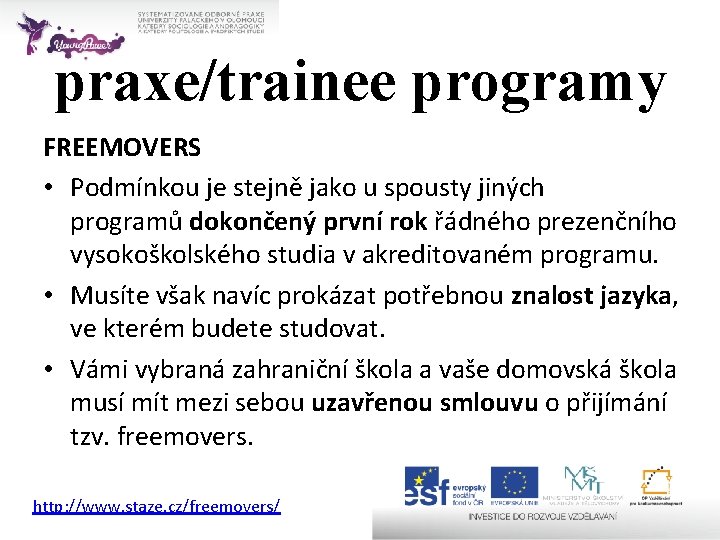 praxe/trainee programy FREEMOVERS • Podmínkou je stejně jako u spousty jiných programů dokončený první