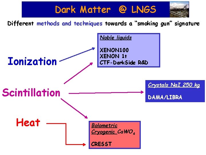 Dark Matter @ LNGS Different methods and techniques towards a “smoking gun” signature Noble