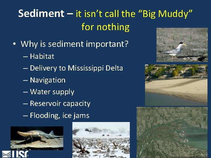 Sediment – it isn’t call the “Big Muddy” for nothing • Why is sediment