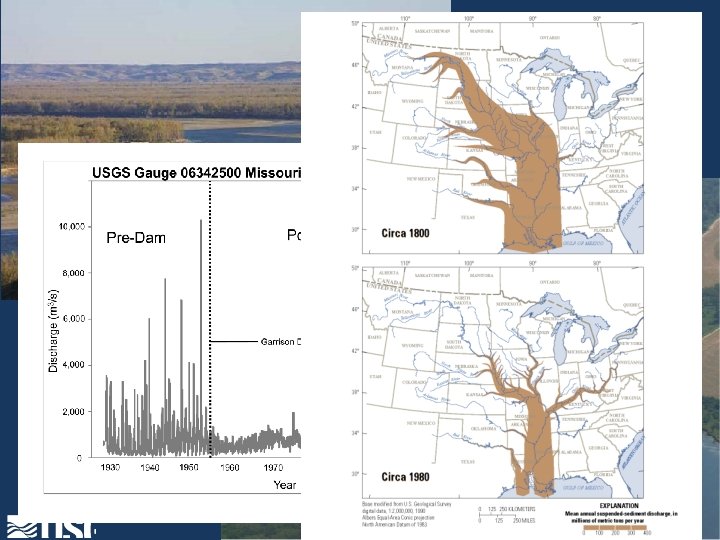 Post-Dam Conditions: -Mature vegetation -Sediment free water -Stabilized Hydrograph 