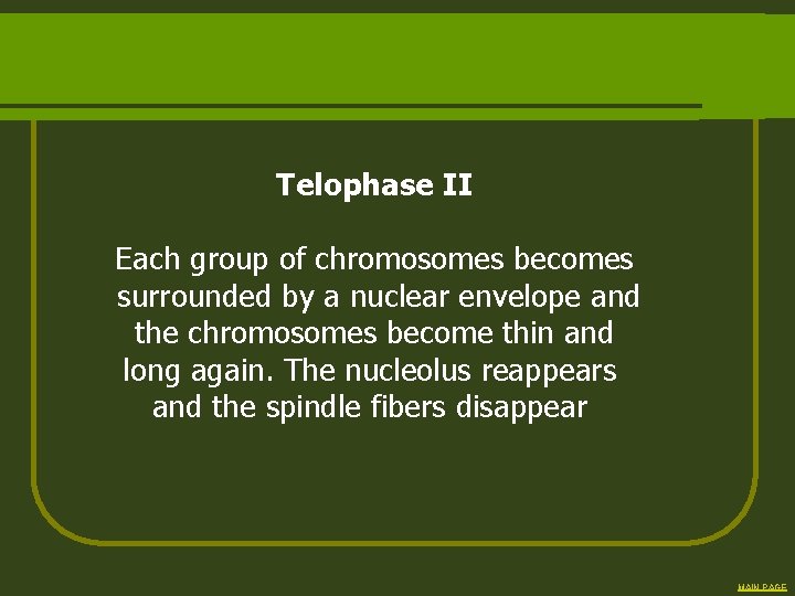 Telophase II Each group of chromosomes becomes surrounded by a nuclear envelope and the