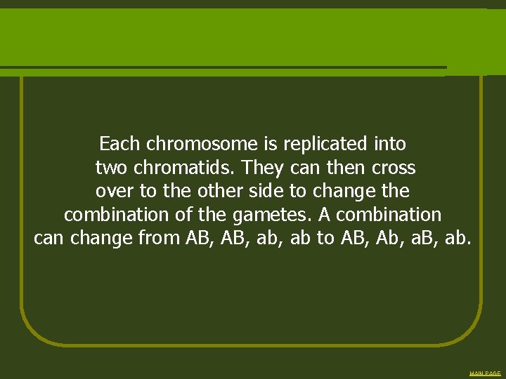 Each chromosome is replicated into two chromatids. They can then cross over to the