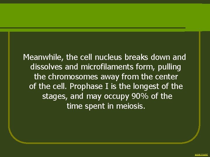 Meanwhile, the cell nucleus breaks down and dissolves and microfilaments form, pulling the chromosomes