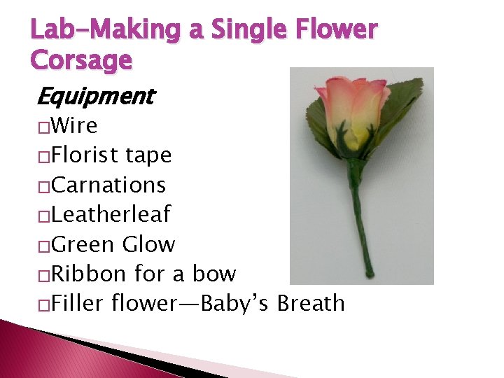 Lab-Making a Single Flower Corsage Equipment �Wire �Florist tape �Carnations �Leatherleaf �Green Glow �Ribbon