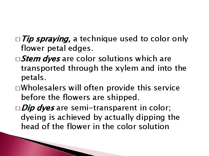 � Tip spraying, a technique used to color only flower petal edges. � Stem