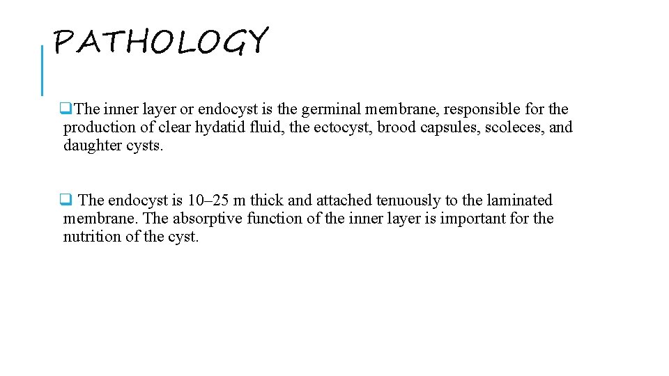 PATHOLOGY q. The inner layer or endocyst is the germinal membrane, responsible for the
