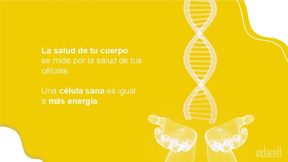 La salud de tu cuerpo se mide por la salud de tus células. Una