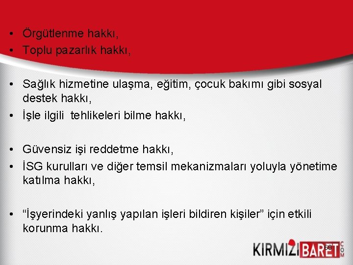  • Örgütlenme hakkı, • Toplu pazarlık hakkı, • Sağlık hizmetine ulaşma, eğitim, çocuk