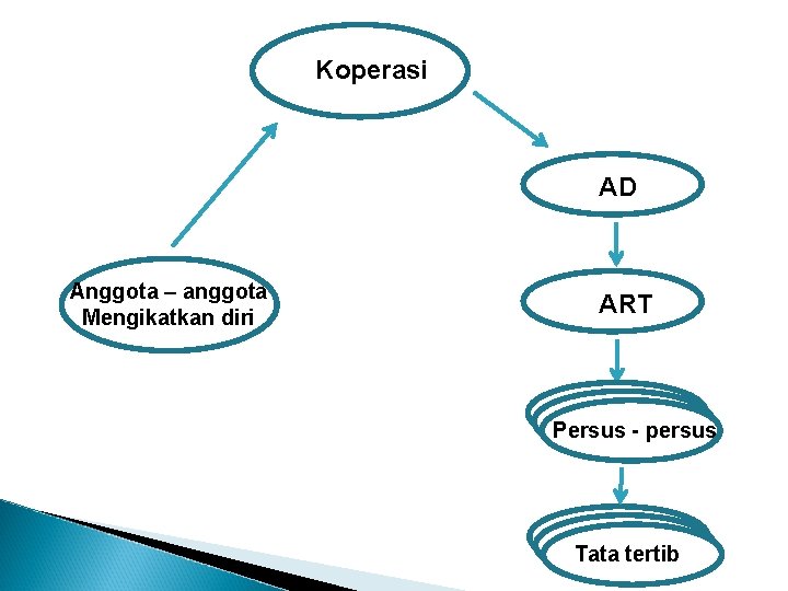 Koperasi AD Anggota – anggota Mengikatkan diri ART Persus - persus Tata tertib 4