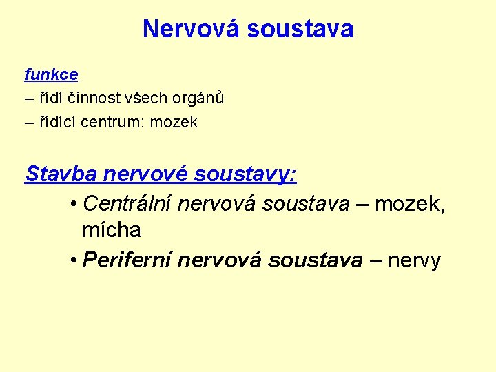 Nervová soustava funkce – řídí činnost všech orgánů – řídící centrum: mozek Stavba nervové