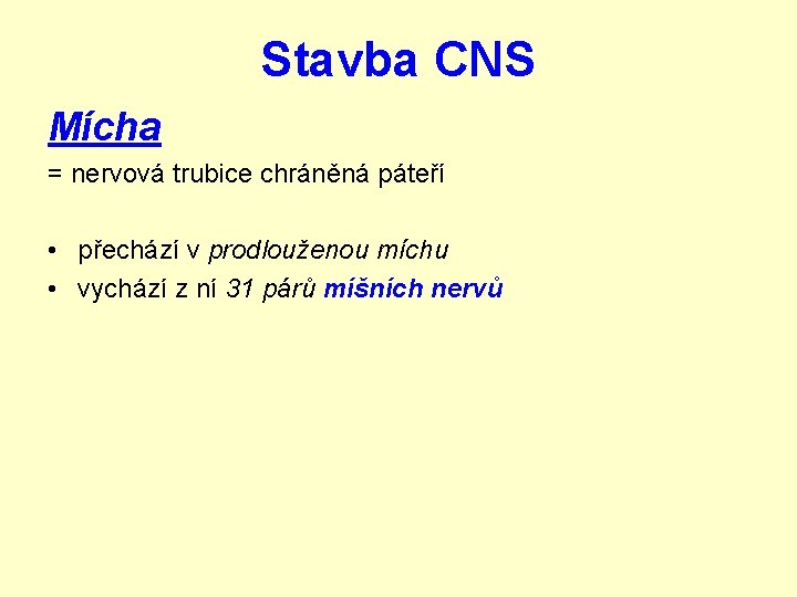 Stavba CNS Mícha = nervová trubice chráněná páteří • přechází v prodlouženou míchu •