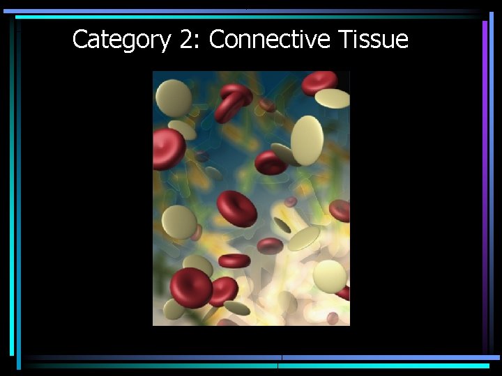 Category 2: Connective Tissue 