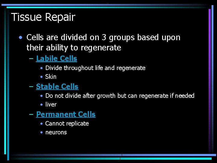 Tissue Repair • Cells are divided on 3 groups based upon their ability to